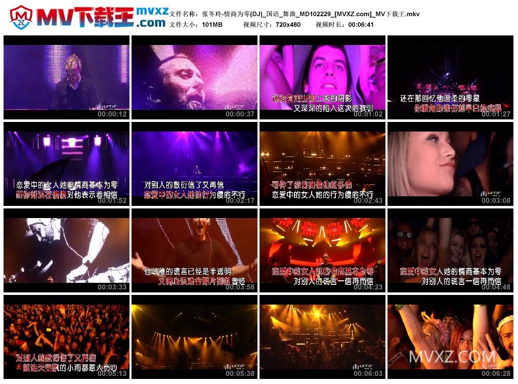 张冬玲-情商为零(DJ)_国语_舞曲_MD102229